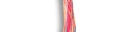 JY-1060 Multi-Conductor Cables