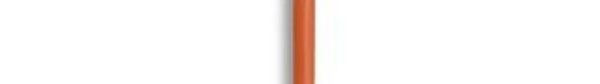MC6A-1/0.6T2-OE-100 Hook-up Wire