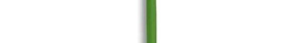 MC6A-32/0.2T3-GN-100 Hook-up Wire