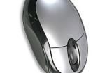 RP019 Input Devices