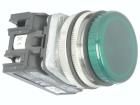 NEF30-LPZ-24VDC 
