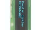 REC001602EBPP5N00000 OLED Displays & Accessories