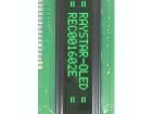 REC001602EGPP5N00000 OLED Displays & Accessories