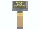 REX012864FYPP3N00000 electronic component of Raystar