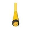 RK 60B-696/6F  Wire & Cable