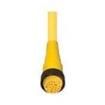 RK 190M-669/5M  Wire & Cable