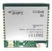 RM191-SM-02  Embedded Solutions