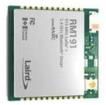 RM191-SM-02 Sub-GHz Modules