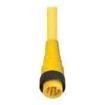 RS 701M-649/6F  Wire & Cable