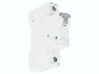 5SL6103-7  Circuit Protection
