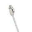 STP28X2MBU-Q Ethernet Cables / Networking Cables