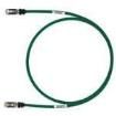 STP6X100GR Ethernet Cables / Networking Cables