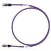 STP6X100VL Ethernet Cables / Networking Cables