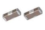 YFF21SC1H101M  Passive Components