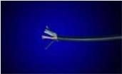 219513-2  Wire & Cable