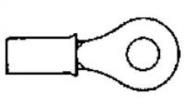 31884  Wire & Cable