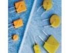 D63011-000 Resettable Fuses - PPTC