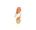200A-WMSP5T1B4M2RE Toggle Switches