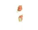 200A-WMSP5T2B4M2RE Toggle Switches