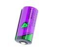 TLH-5955/S Electronic Battery
