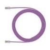 UTP28CH5MVL Ethernet Cables / Networking Cables
