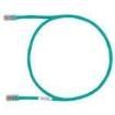 UTPCH15MGRY Ethernet Cables / Networking Cables