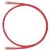UTPSP1MRDY Ethernet Cables / Networking Cables