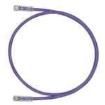 UTPSP5MVLY Ethernet Cables / Networking Cables