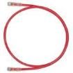 UTPSP60MRDY Ethernet Cables / Networking Cables