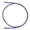 UTPSP65MVLY Ethernet Cables / Networking Cables