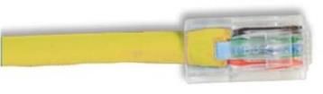 1961-3Y  Wire & Cable