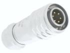 SF1210/P6I  Connectors