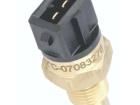 30875544 Thermostats