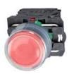XB5AP42 Pushbutton Switches