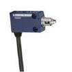 XCMN2103L1 Limit Switches