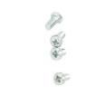 3X6MZPPPDMT Screws & Fasteners