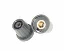 KX641753  Electromechanical