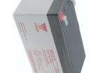 NP1.2-12 Sealed Lead Acid Battery