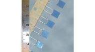 2222-370-65332 Film Capacitors