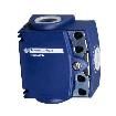 ZCT25P16 Limit Switches