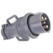 DS6204MP000 