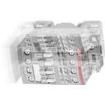 NF22E-11 General Purpose Relays