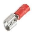 RA257 Terminals