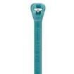 TYZ28M Cable Ties