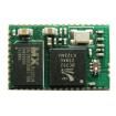 ABBTM-2.4GHZ-31-T  Embedded Solutions