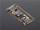 2928  Embedded Solutions