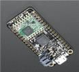 3079  Embedded Solutions