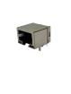 MTJ-88AAX1-FSV-LG electronic component of Adam