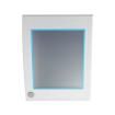 FPM-5151G-R3BE Display Modules