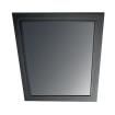 IDS-3219R-35SXA1E Display Modules